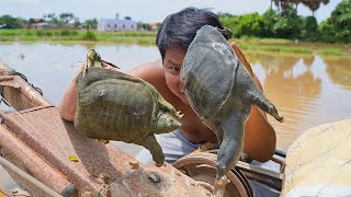 Lucky day found Turtle then Catch to Cook 😋