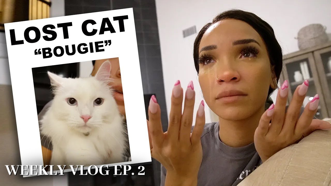 MY CAT RAN AWAY but Watch What Happens Next RAY S WEEK S2 YouTube my-cat-ran-away-but-watch-what-happens-next-ray-s-week-s2-youtube
