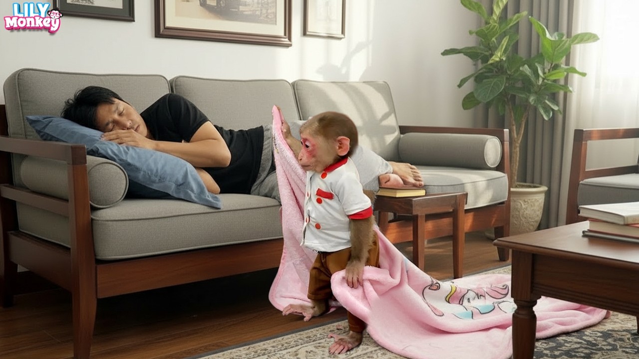 Emotional moment! Smart Lily gently comforts her dad after he is laid off | Lily's story