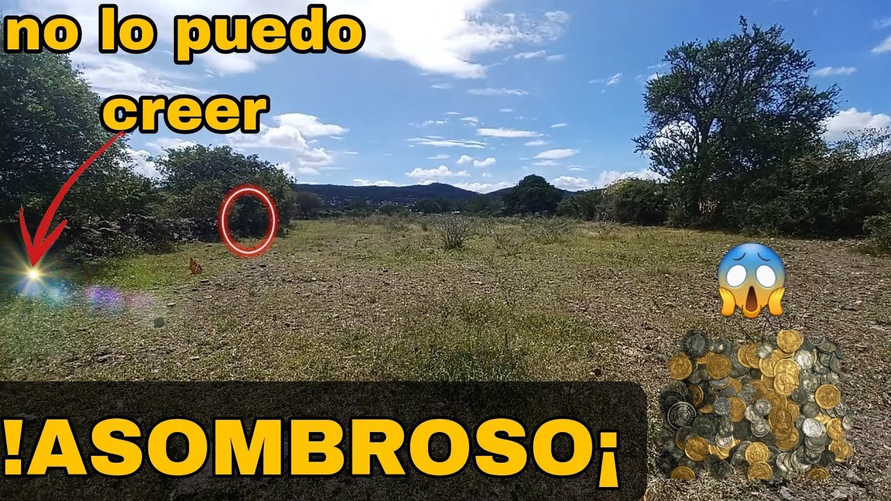 VIRAL Encontre🟡ORO🟡SERCA del CAMINO REAL