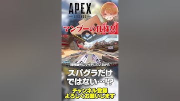 スパグラだけだと思ってたあの仕様は実はスパグラにも受け継がれてましたw【 APEX のったん エペ解説 】#apex #apexlegends #のったん #エペ #エペ解説