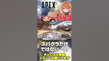 スパグラだけだと思ってたあの仕様は実はスパグラにも受け継がれてましたw【 APEX のったん エペ解説 】#apex #apexlegends #のったん #エペ #エペ解説