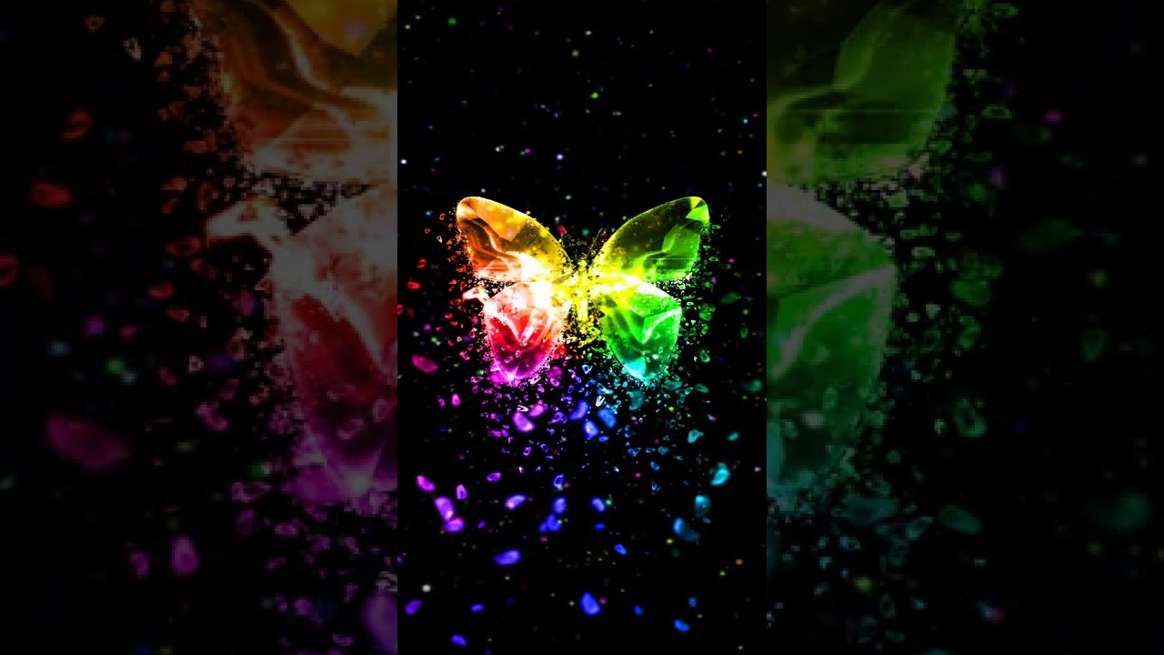 [R] Colorful Rainbow Butterfly (Live)