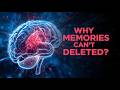 Brain Memories Delete क्यों नहीं हो सकती? | Neuroscience Secrets of Memory Explained