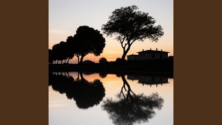 Under the Same Sky (3)