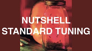 Video thumbnail of "Nutshell in E standard Tuning"