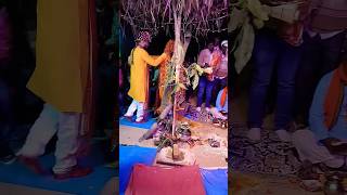 #itsbanna #wedding #funnysong #bannibannageet #dance #teejcelebration #song
