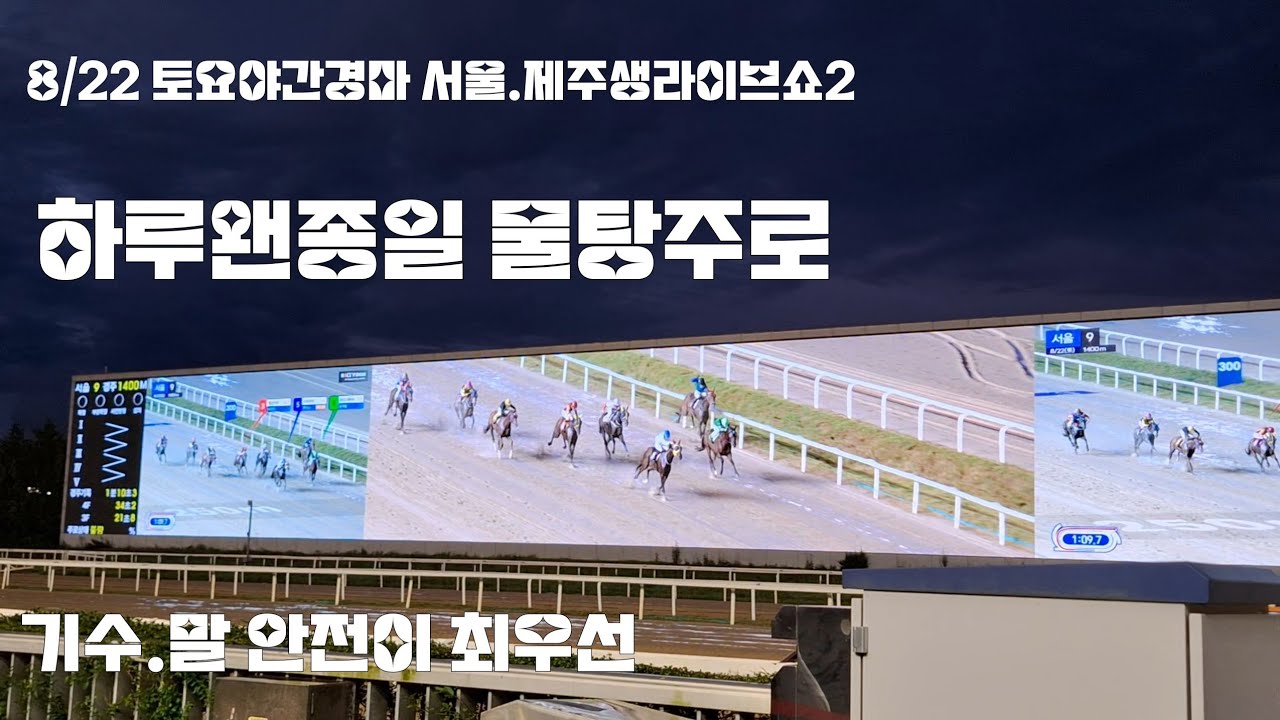 8/22 토요야간경마 서울.제주생라이브쇼2
