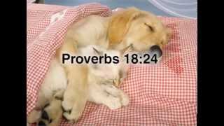 Proverbs 18:24