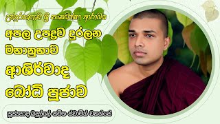 Ashirwada Bodhi Puja - මහානුභාව ආශිර්වාද බෝධි පූජාව  #bodhipooja #bodhipuja #gatha