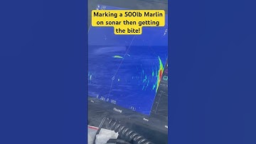 Tracking 500 pound Marlin on Sonar | Marlin #fishing | Deep Sea Fishing