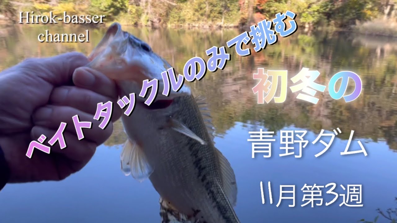 ベイトタックルのみで挑む 初冬の青野ダム11月第3週