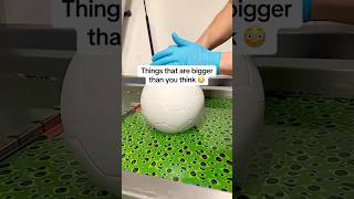 Things That Are Bigger Than You Think ⚖️ Part 4.