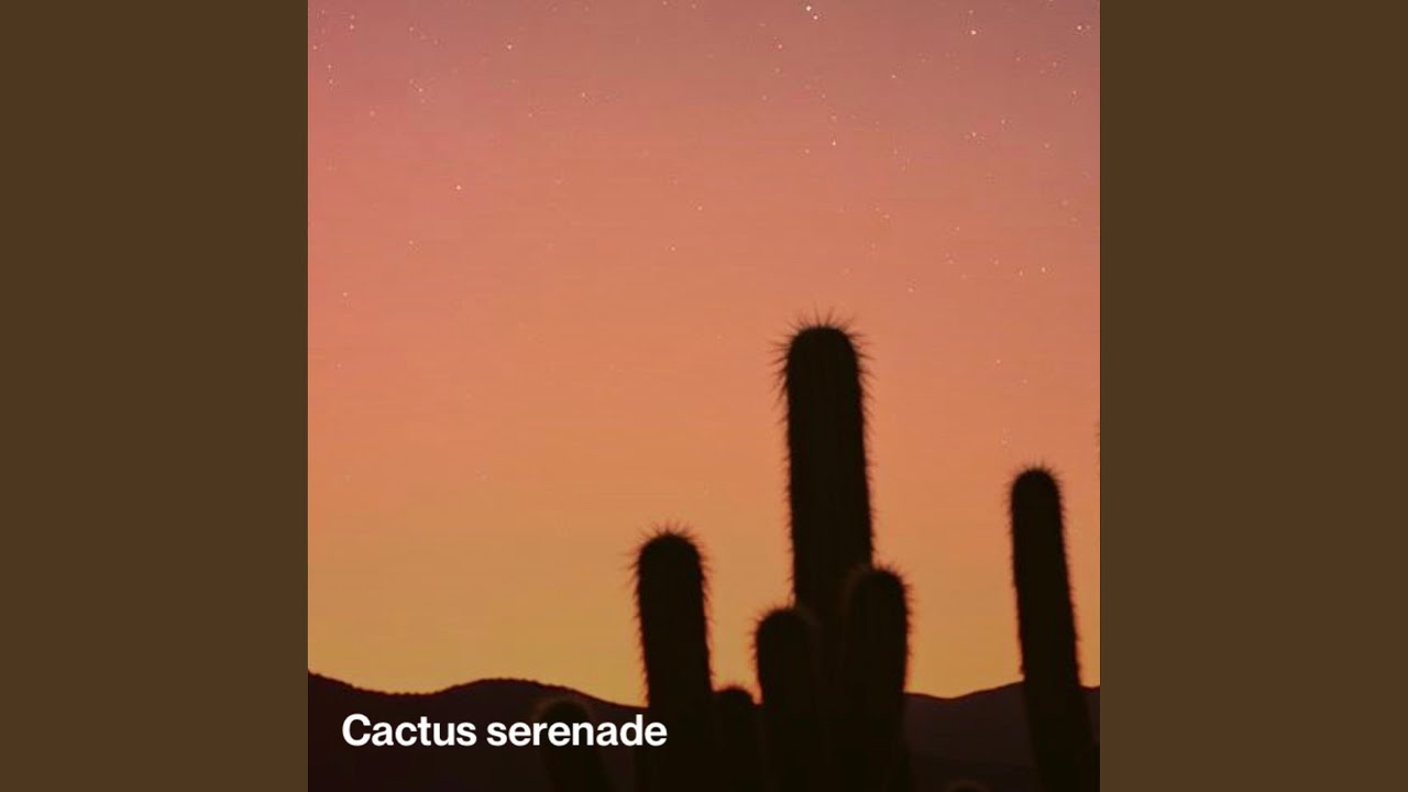 Cactus serenade