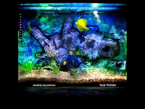 Rick Wilhite - Dark Walking