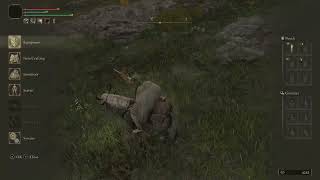 Elden Ring "Pause the game" mod