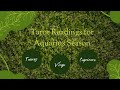 Aquarius Season Tarot For Earth Signs, Taurus, Virgo and Capricorn!