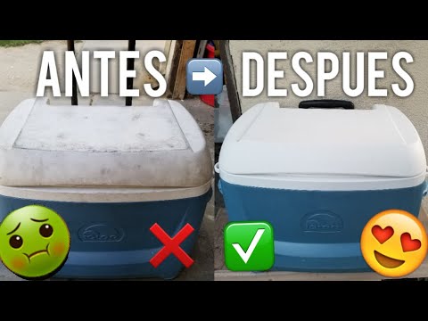 Video: Cómo Limpiar Una Hielera