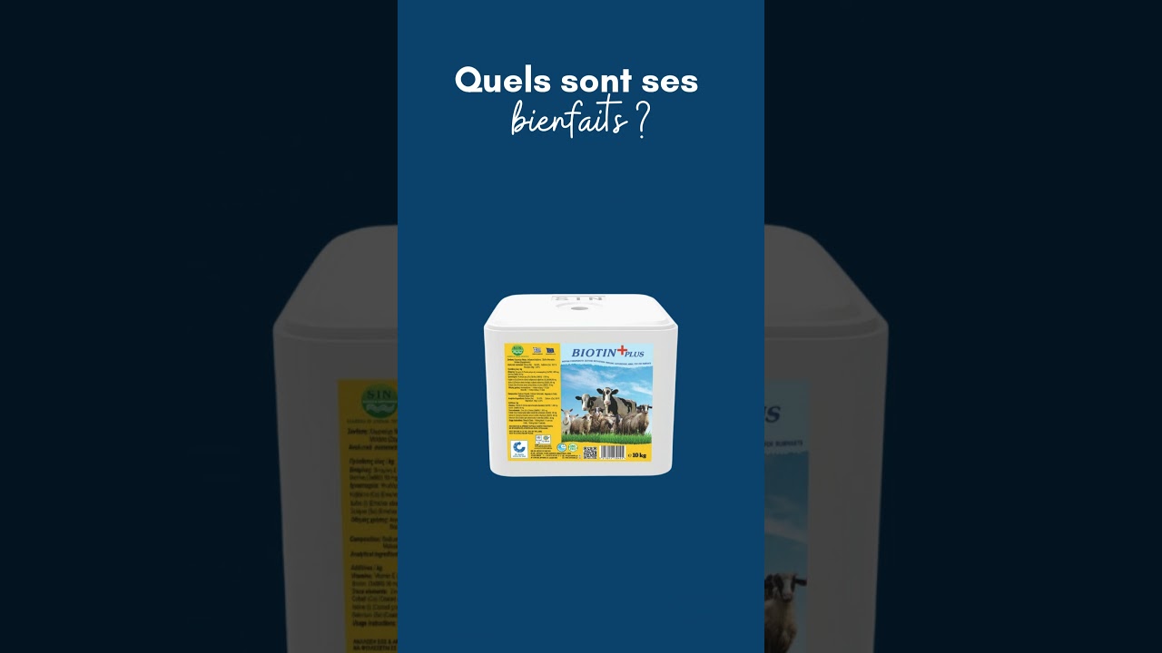 Pierre à Lécher BIOTIN+ Plus – Set 4 × 3 Kg – Sel Minéral Cheval, Biotine & Vitamine E – Chevaux, Moutons, Chèvres, Gibier