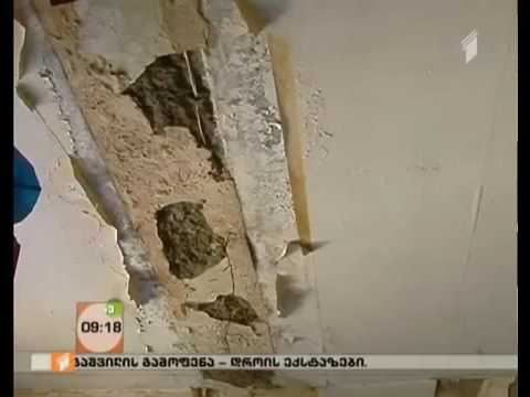 ვაზიანის დასახლების პრობლემები.