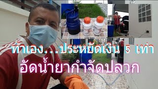 วิธีกำจัดพยาธิตัวตืด พยาธิในลำไส้ตายเกลี้ยง | Natural Ways To Get Rid Of Intestinal Worms In No Time