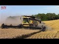 NEW HOLLAND Wheat Harvest