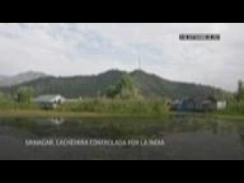 Video: ¿En dal lago Cachemira?