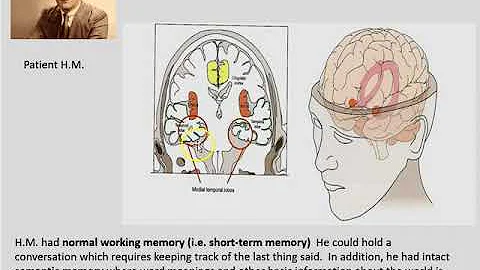 System Consolidation part 1 intro and H.M. 2019