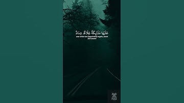 القارئ ياسر الدوسري سورة التحريم الاية 6-7