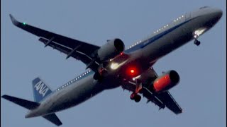 羽田空港, RUNWAY22へ着陸するANA機４連発＠薄暮の城南島海浜公園\/The Most Epic ANA's aircrafts at Haneda AirportThe Most Epic