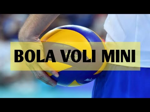 Permainan Bola Voli Mini (PJOK Kelas 4)