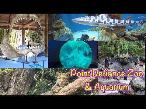 Video: Point Defiance Zoo và Aquarium ở Tacoma WA