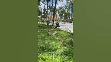 Công Viên Tôn Đức Thắng An Giang