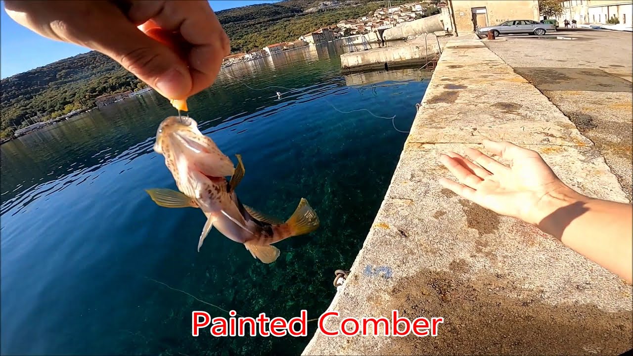 Fishing in Bakar at Kvarner Bay - Fishing in Croatia 2020