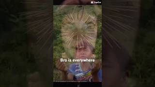 Bro Is Everywhere