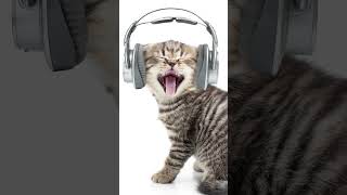 funny noises