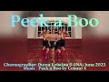 Peek a boo  line dance  duma kristina  ina