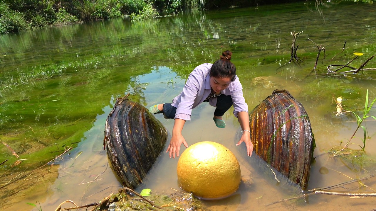 There are many clams under the waterfall, and they are all colored pearls inside