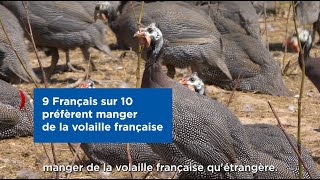 Consommation : les Français plébiscitent la volaille française