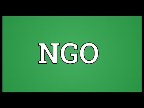 NGO Meaning
