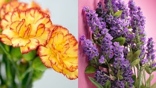 Why Carnations, Geraniums and Lavender Flowers Can Kill Your Valentine's Day Mood