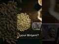 ₹200 - Cheap Supplier vs Premium Supplier - The Truth About Spice Value