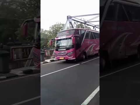 Menelusuri Jejak D'Nasima: Panduan Lengkap Alamat dan Layanan Bus Pariwisata