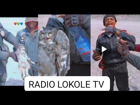 LUSHI SEE THE THIEF ARRESTED AFTER IBU AIRPLANE STILL IN THE MUD