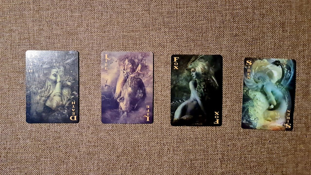 🔮四選一🔮為什麼宇宙一直發信號給你♥你需要聽的信息（1⃣️1⃣️1⃣️1⃣️🦋🐛🦚）