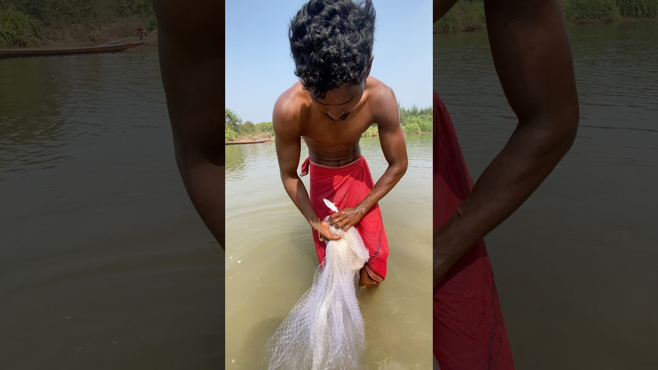 Cost Net fish catching video