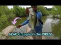GRAVEL PIT drain pipes were FULL of POST SPAWN CRAPPIE! No boat, no problem!