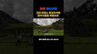 [페루 여행] 환각식물을 복용 이유
