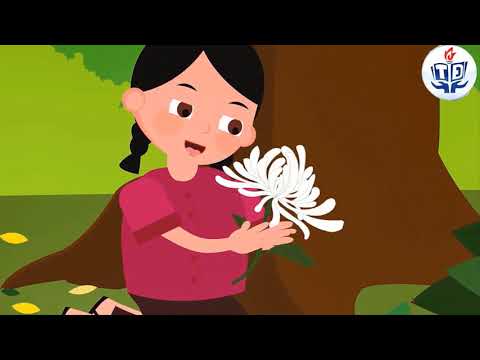 Video Tiếng Việt 1 - BÔNG HOA CÚC TRẮNG - youtube