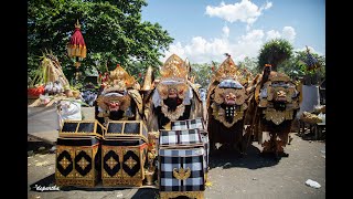 Ribuan Warga Metra Tumpah Ruah ke Pantai Watuklotok - Ida Bhatara Sejebag Jagat Metra Tedun Melasti